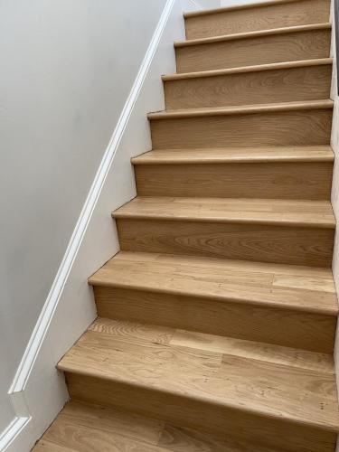 IMG 0460